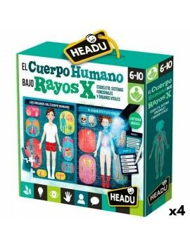 Jogo Educação Infantil HEADU El cuerpo humano Rayos X (4 Unidades)